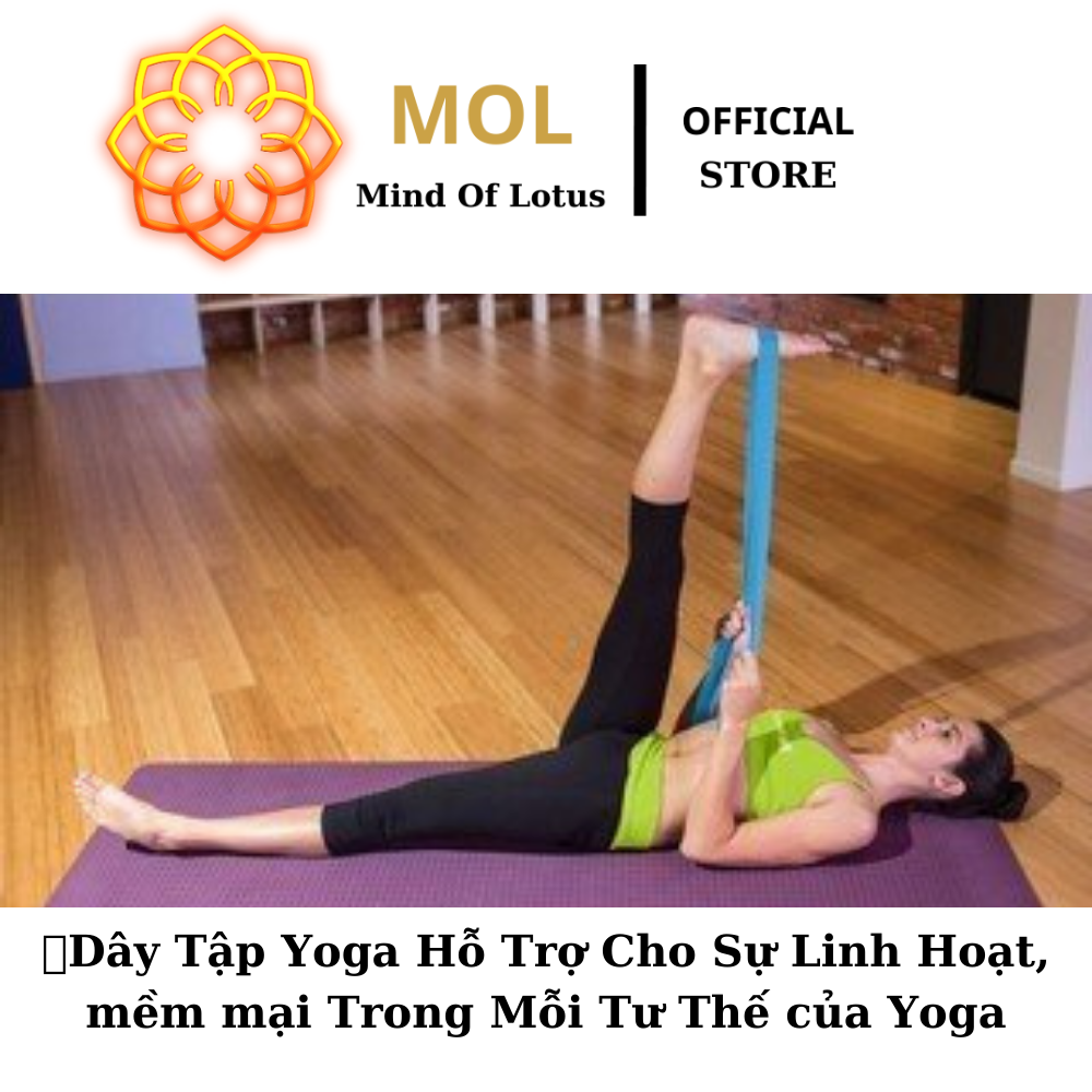 Day Tap Yoga Strap Yoga Chieu Dai 2m5 Mau Sac Xanh Bien 2